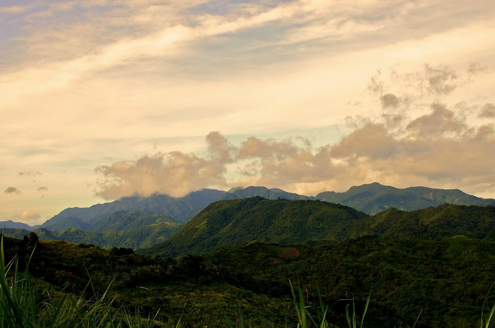 Rescue Sierra Madre: Tanay tree planting