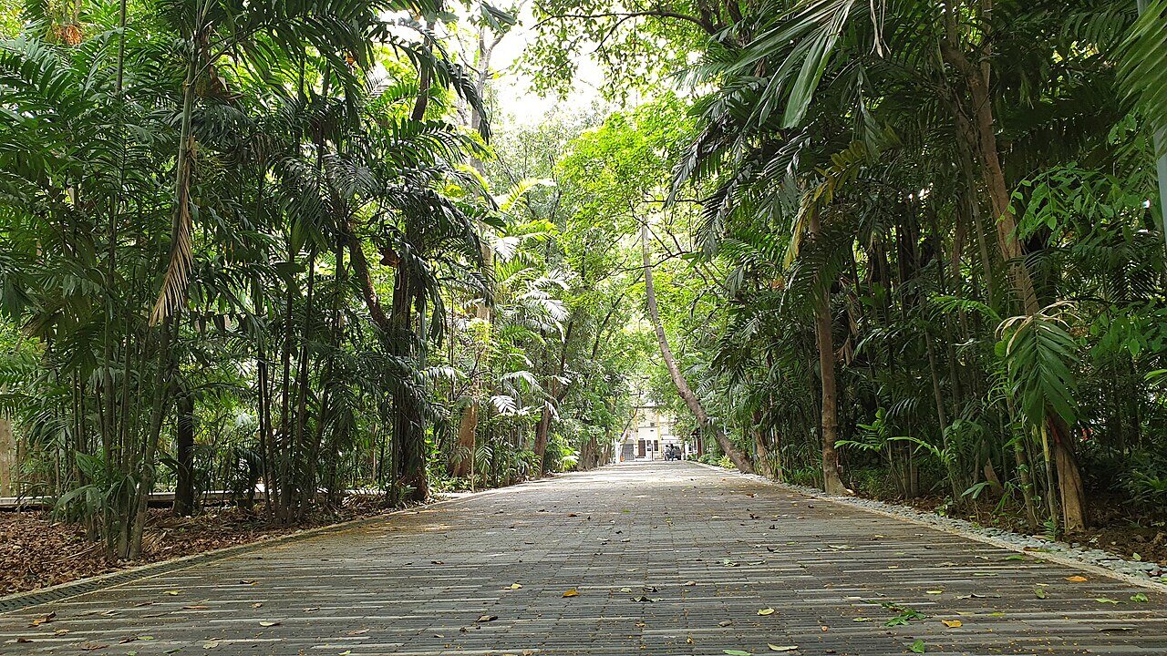 Arroceros Forest Park
